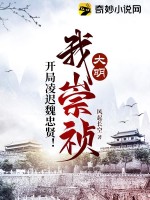  大明：我崇祯，开局凌迟魏忠贤！